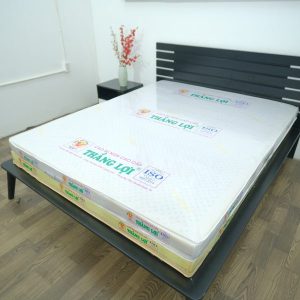 Nệm Cao Su Non Cao Cấp Thắng Lợi 1m2 x 2m x 15cm