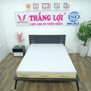 Nệm Cao Su Non Cao Cấp Thắng Lợi 1m4 x 2m x 15cm