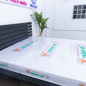 Nệm Cao Su Non Cao Cấp Thắng Lợi 1m8 x 2m x 15cm