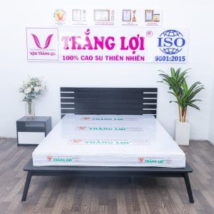 Nệm Cao Su Non Cao Cấp Thắng Lợi 1m8 x 2m x 15cm