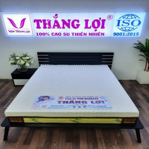 Nệm Cao Su Non Massage Thắng Lợi 1m6 x 2m x 20cm