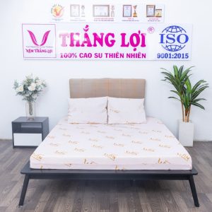 Nệm Super Win Foam 1m6 x 2m x 10cm