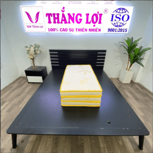 Nệm Cao Su Gold Latex Gấp 3 1m x 2m x 10cm