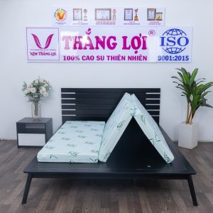 Nệm Cao Su Thiên Nhiên Super Win Gấp 3 1m x 2m x 10cm