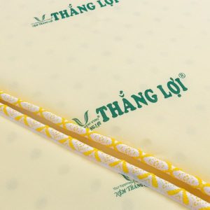 Nệm Cao Su Non Thắng Lợi Gấp 3 1m2 x 2m x 15cm