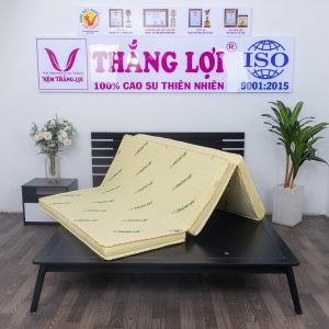 Nệm Cao Su Non Thắng Lợi Gấp 3 1m6 x 2m x 15cm