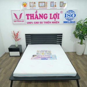 Nệm Foam Cao Cấp Massage Thắng Lợi 1m x 2m x 12cm