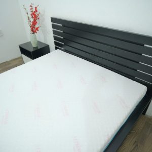 Nệm Foam Cao Cấp Massage Thắng Lợi 1m8 x 2m x 22cm