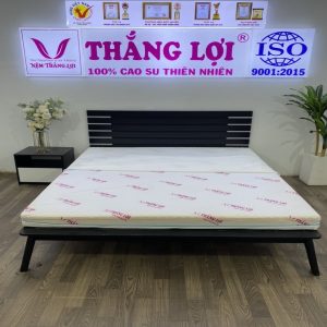 Nệm Foam Cao Cấp Massage Thắng Lợi 1m2 x 2m x 17cm