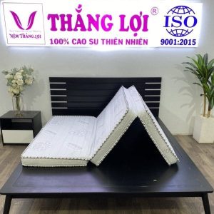 Nệm Cao Su Win Mỹ 1m6 x 2m x 10cm