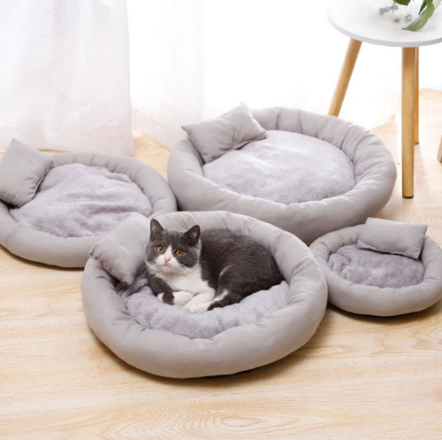 Nệm phù hợp cho nhà có thú cưng