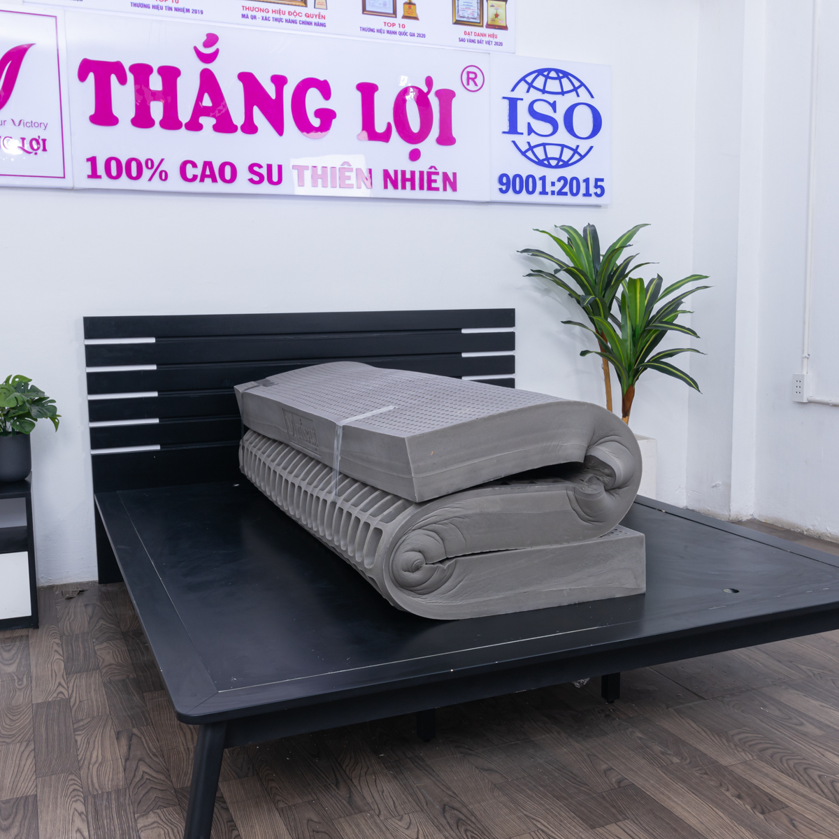 Nệm than hoạt tính có tác dụng gì