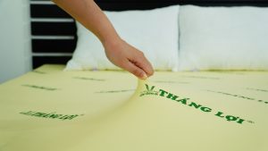 Nệm cho người có lịch sinh hoạt dày đặc