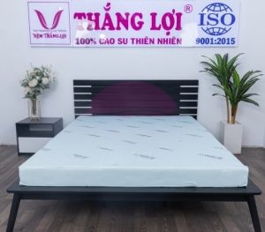 Nệm biếu bố mẹ cao cấp