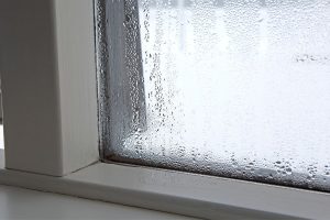 Nệm cho mùa nồm ẩm